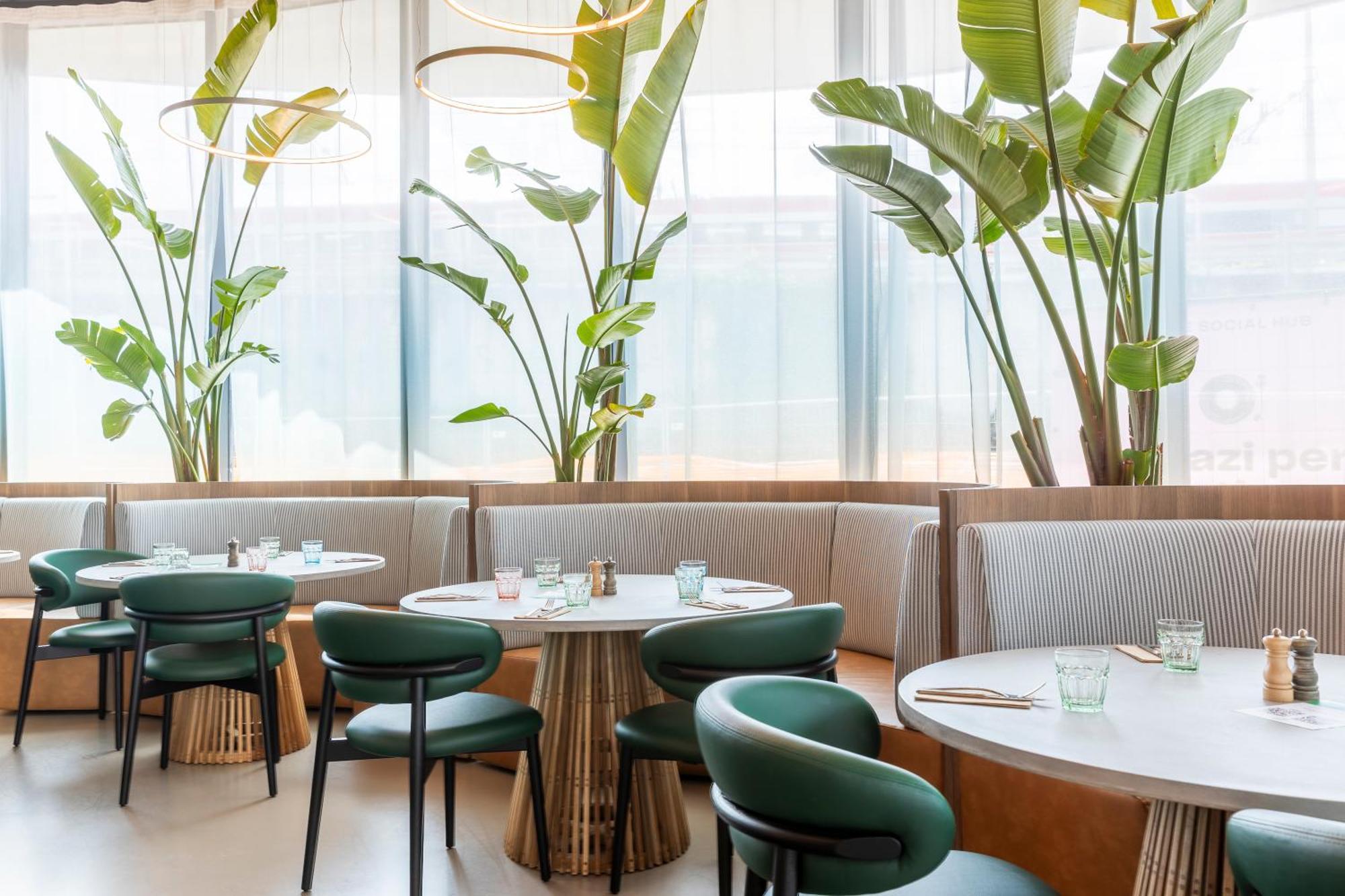 The Social Hub 4* Rom